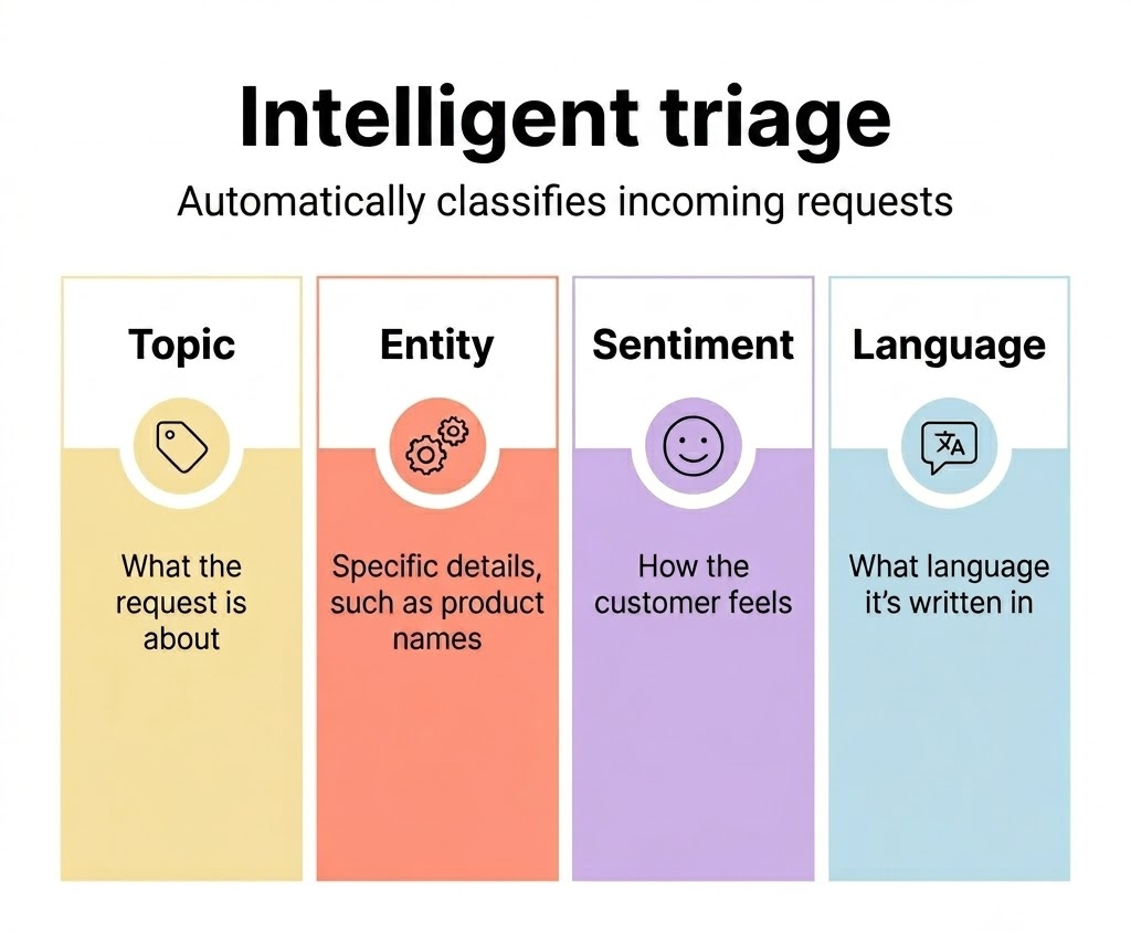 Four columns headed Topic, Entity, Sentiment and Language, described as what the request is about, specific details such as product names, how the customer feels, and what language it is written in.
