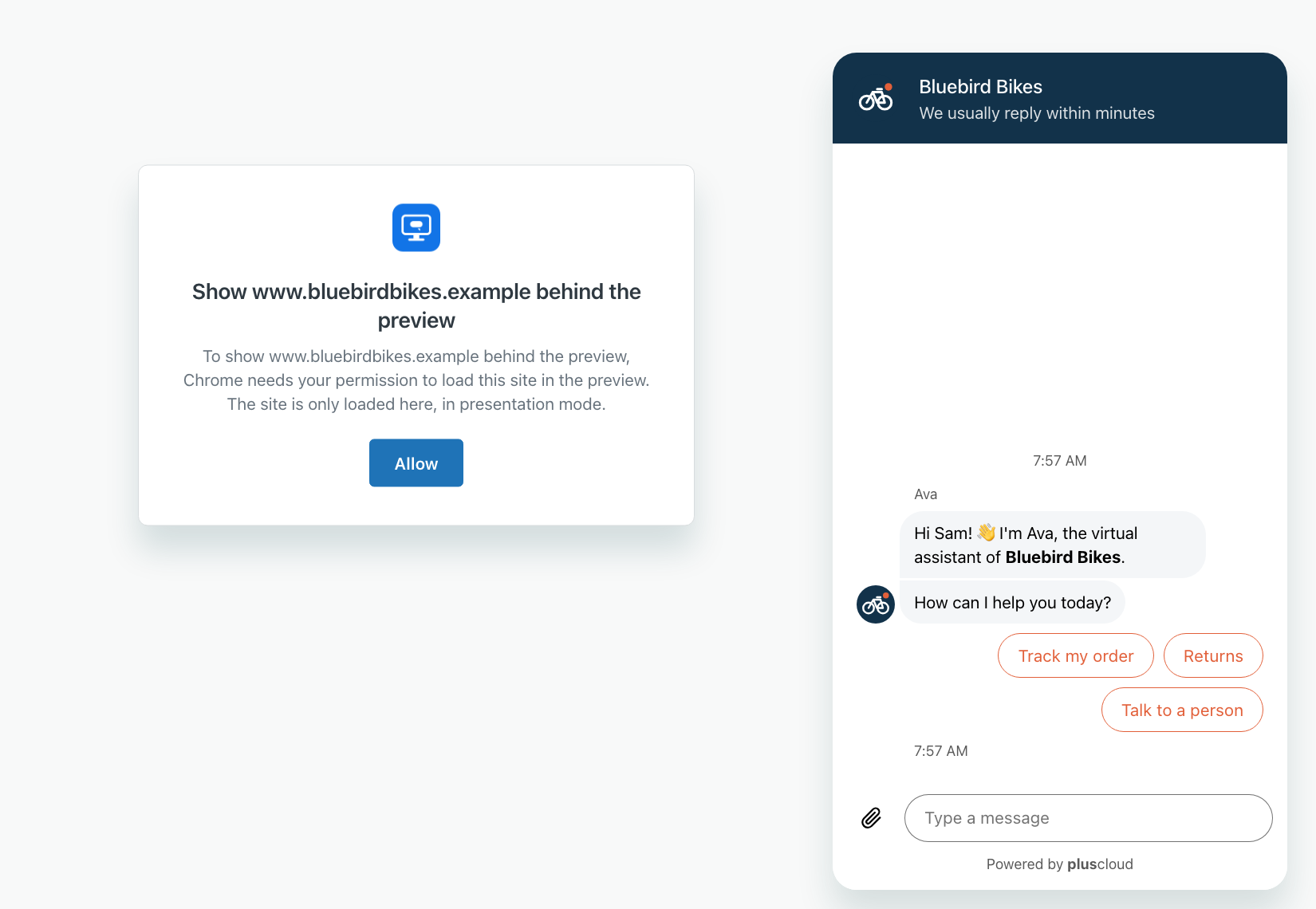 A card next to the preview with the heading Show www.bluebirdbikes.example behind the preview. It explains that Chrome needs permission to load the site in the preview and that the site is only loaded there, in presentation mode, with an Allow button.